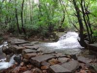 초록 그늘 아래, 고즈넉한 산골짜기