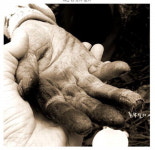 먼산나물에 담긴 시골 고부의 愛