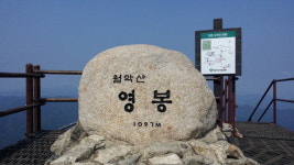 계곡 옆 캠핑 …이것이 피서다