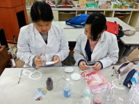 제천 한송초중, 전국과학전람회에서 최우수상