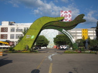 청주시, 가로변과 각종 행사장 등 100여 만주 식재