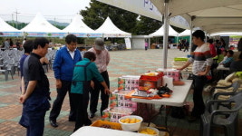 제4회 금성면 하늘뜨레 농산물직거래장터