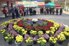가을의 향기 담은 시와 그림속 국화 전시회