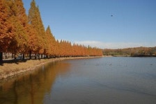 17전투비서 가을을 산책하세요