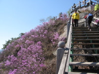 아산시, 영인산수목원 등 볼거리 풍성