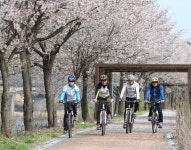 오천 꽃길 자전거길, 데이트 즐겨요