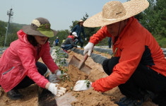 흥덕구 공무원들, 휴일도 반납한 농촌사랑