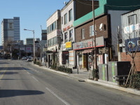 아산시, 전국체전 대비 온천대로 등 가로수 갱신