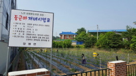 청양 장평면, 노인일자리 소득사업 활발