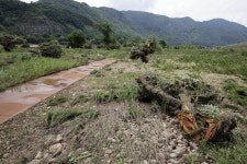 비만 오면 쑥대밭… 영동·옥천 금강 수변공원 골머리