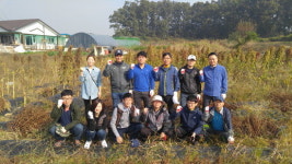 (주)새손 광원전자점 | 진천군 명품도시추진단, 농촌 일손돕기
