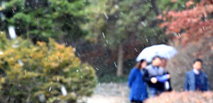 [날씨] 충북 전지역 한파특보…두꺼운 외투·장갑 준비하세요