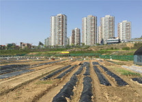 도시민 텃밭농원 분양