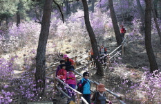 4월에 걷기좋은 충청도양반길