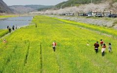 봄의 전령사 주꾸미 드시러 오세요!