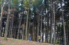 증평군, 좌구산과 삼보산 등산로 정비