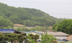 마을 옆 태양광발전시설 설치 반대
