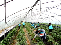 대덕대 사회복지과, ‘유성구노인복지관 어버이날 행사 주최’ 귀감