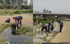 대전도시철도노조, 대전천 환경 정화 활동