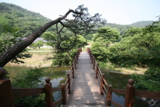 송림이 어우러진 백범 명상길, 솔바람길