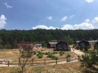 소백산 정감록 명당 체험마을, 개장 눈앞