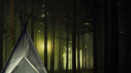 반딧불이에 대한 질문