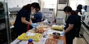 전수조사 산란계 유통 여부 17일 오전 결정