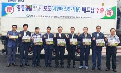 메이빌 포도, 베트남 첫 수출