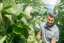 당진시 1지역 1특화품목 시범사업 결실