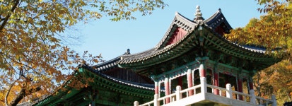 오색 단풍 수놓은 천년의 숲에 빠지다