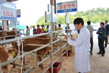 충북농협, 2017년 충북한우경진대회 개최