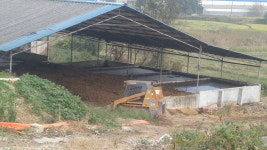 추석연휴 축산분뇨 불법 방출 주민 반발