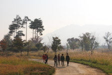 자연풍광 캠핑존 가족힐링 장소 제격