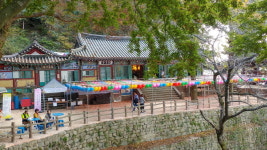 고란초·약수 유명...하얀 옷 불상 인상적