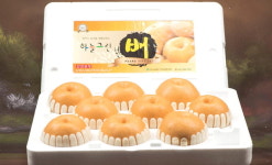 하늘그린 천안배, 3년 연속 대한민국 파워브랜드 선정