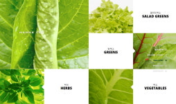 충북 3억7천만원 들여 신규 스마트팜 7곳 조성