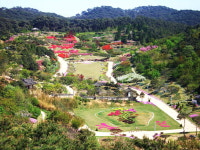 5월엔 오감만족 자연휴양림으로 오세요