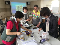 괴산군 농기센터 팬지 꽃차 만들기 교육