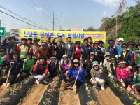 산남동 주민자치위원회, 고구마 심기 농촌봉사활동