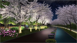 오창·오송 호수공원 밤에도 거닐어요