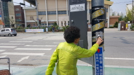 영동군, 보행자 작동 신호등 첫선