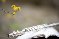 바람의 클래식과 플루트 연주