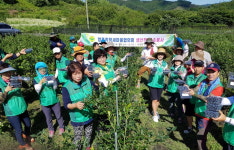 청주시새마을회, 생산적 일손봉사에 앞장