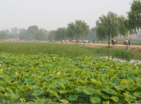 당진시보건소, 14일 합덕제 연호지 둘레길 걷기 행사