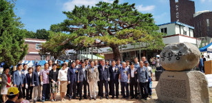 봉명2송정동 400년 노송 이름은 봉황송
