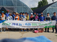 괴산관내 농·축협직원···폭염피해농가 합동 일손돕기