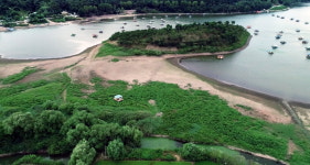 1년 만에 다시 바닥 드러낸 초평저수지 상류