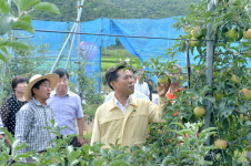박정현 부여군수·부여군의원들 폭염 피해 현장 방문