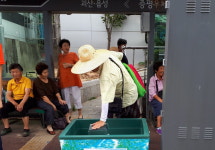 증평군, 버스 승강장에 얼음 비치