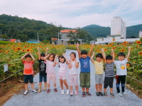 공주 금학생태공원 해바라기 탐방로 조성